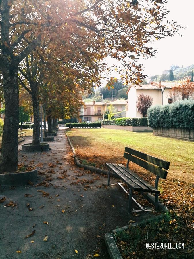 Bed & Breakfast Esterofili Carmignano